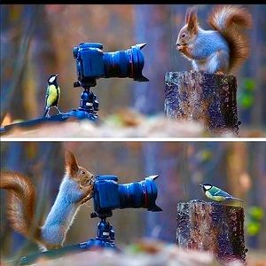 Meet your Posher, Ahmed